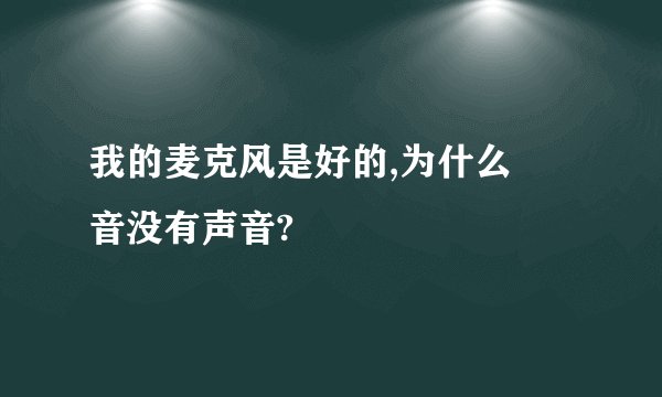 我的麦克风是好的,为什么語音没有声音?