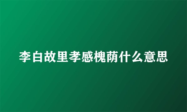 李白故里孝感槐荫什么意思