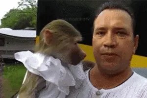 有球迷说郜林是世界足坛的第一“假摔跳水王”,你怎么看?