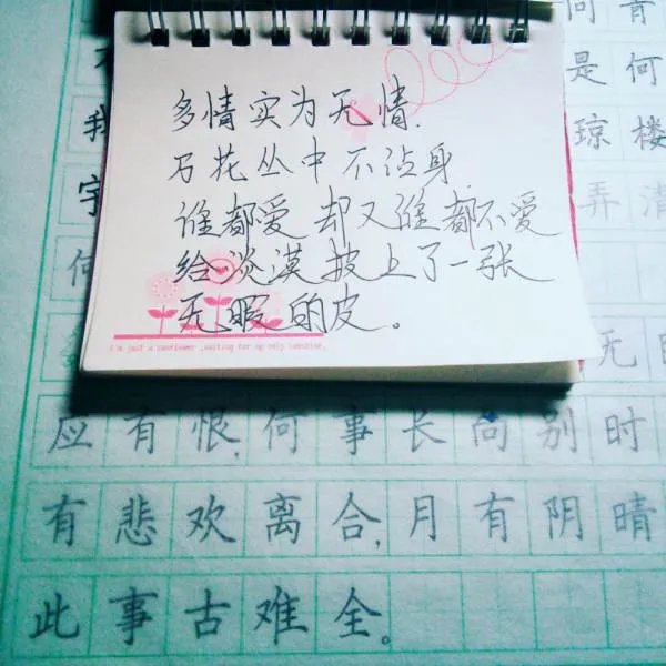 多情总被无情伤的歌曲歌词