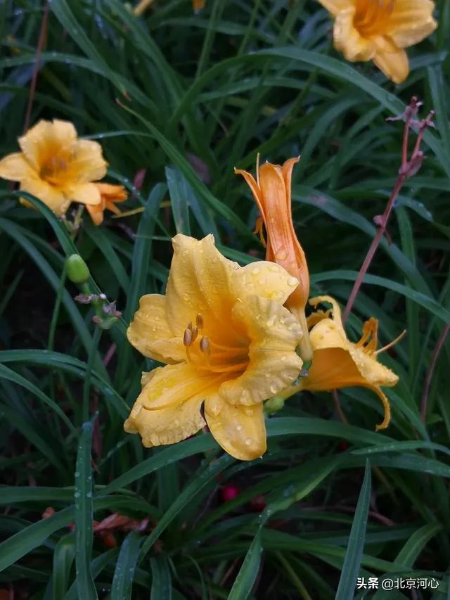 当渣女说我知道你心里一定特别恨我时，如何一句话怼回去？