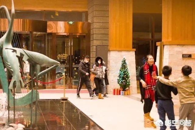 如何看待刘强东、章泽天一起滑雪的事情？