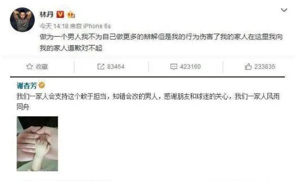 为何谢杏芳第二天就原谅了林丹?