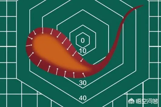 子弹都打不碎的“鲁珀特之泪”为何一捏尾部就碎了?
