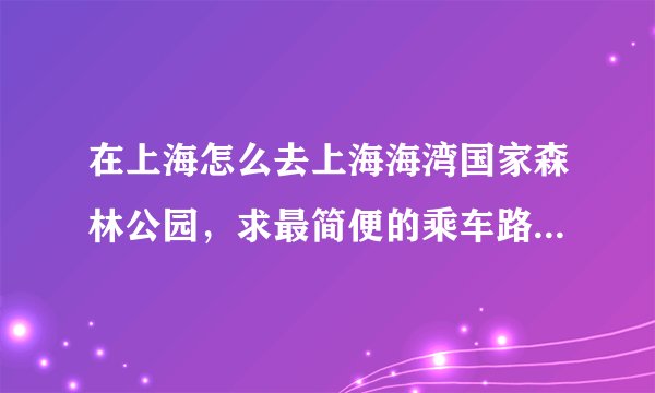 在上海怎么去上海海湾国家森林公园，求最简便的乘车路线！换乘最好少点，我是路痴!呵呵