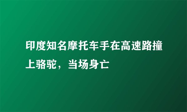 印度知名摩托车手在高速路撞上骆驼，当场身亡