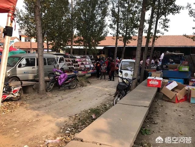 我是一个刚做自媒体的小白,能赚到钱么?