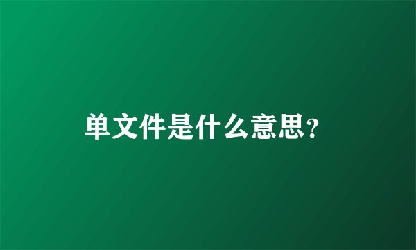 单文件是什么意思？