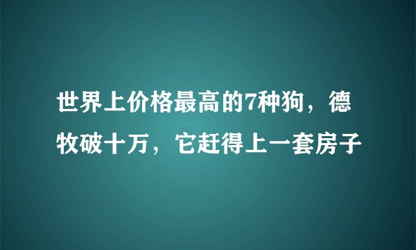 世界上价格最高的7种狗，德牧破十万，它赶得上一套房子