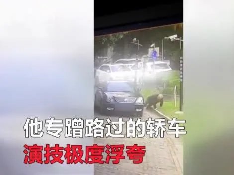 老伯碰瓷被控制：这样的碰瓷真是让人防不胜防（图）