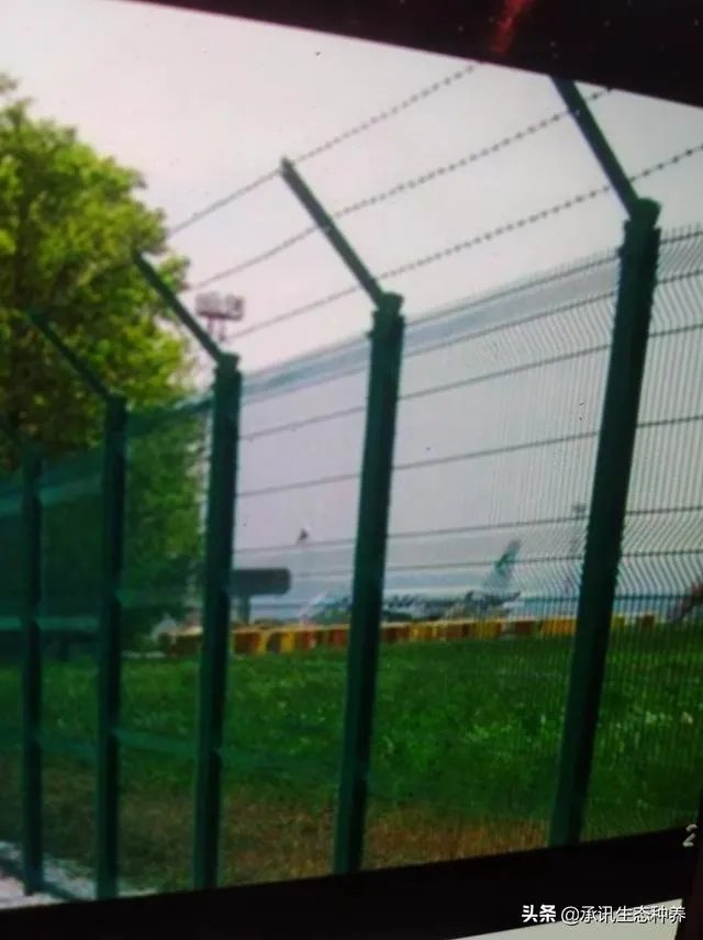 两家土鸡养殖场能挨在一起吗？