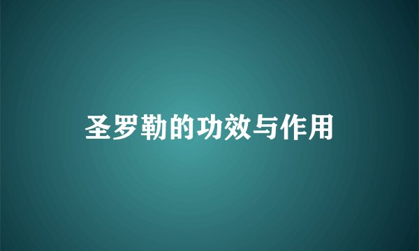 圣罗勒的功效与作用