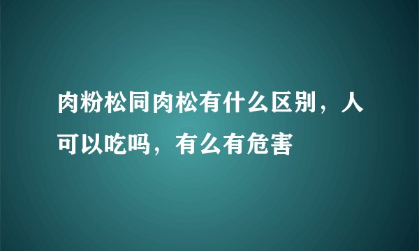肉粉松同肉松有什么区别,人可以吃吗,有么有危害