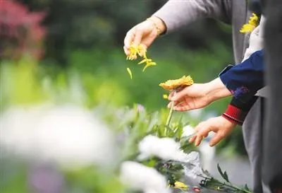小鬼黄鸿升将进行花葬，什么是花葬？