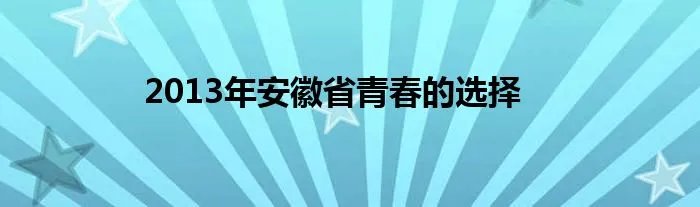 2013年安徽省青春的选择