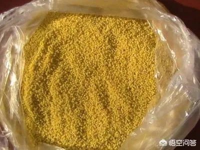 松原乾安最具特色的年味特产是什么?