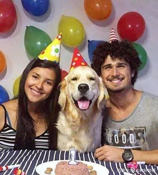 圣诞节跟狗狗一起怎么庆祝度过呢？