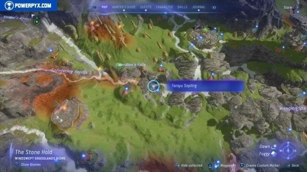 《阿凡达潘多拉边境》塔休幼苗位置汇总 塔休幼苗收集攻略