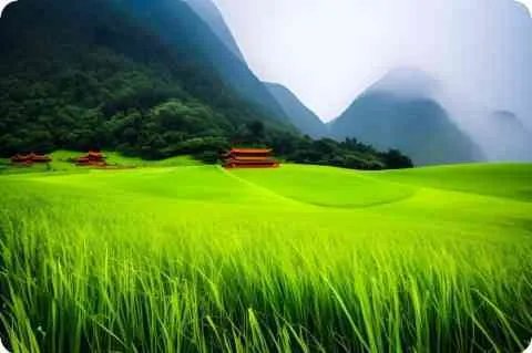 胸围34A什么含义,大概是多少厘米?