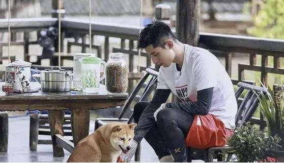 为什么说景甜张继科分手女方比男方更释然？