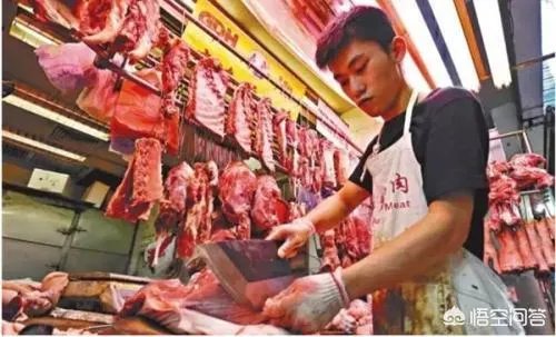 9月4日猪价:东北全线下跌,算是新一轮下跌的信号吗?