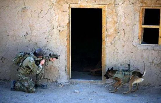 世界十大特种部队有哪些?