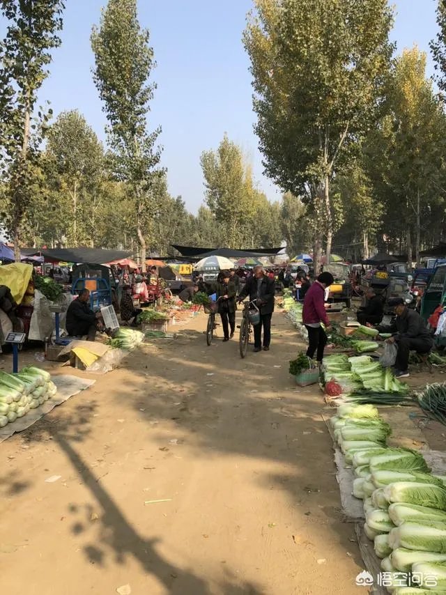 我是一个刚做自媒体的小白,能赚到钱么?