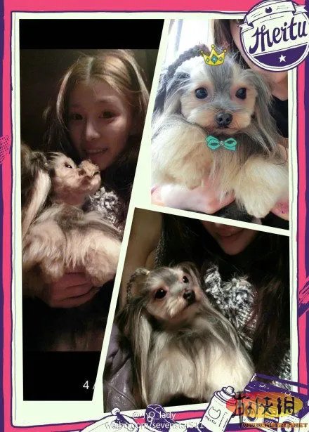 超跑富二代杀妻再爆新内幕 祁可欣曾是坐台小姐