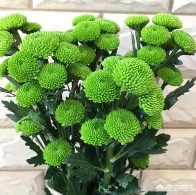 春节返程，大家来晒一晒“妈妈的行李箱”里都给你准备了啥？大声说出你的爱吧？