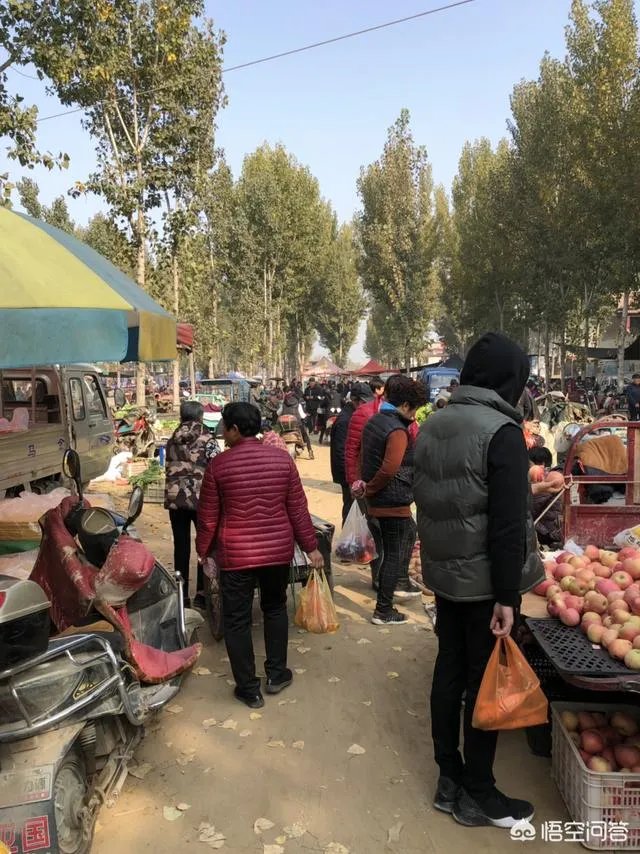 我是一个刚做自媒体的小白,能赚到钱么?