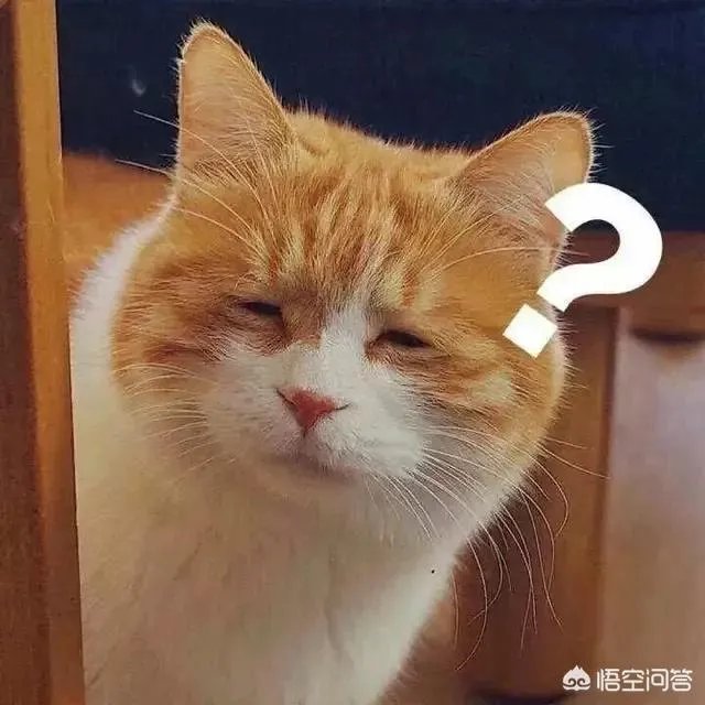 如果室友弄坏你了的东西，你会怎么办？