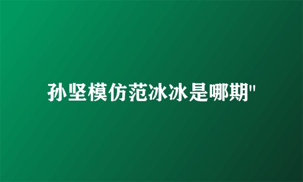 孙坚模仿范冰冰是哪期