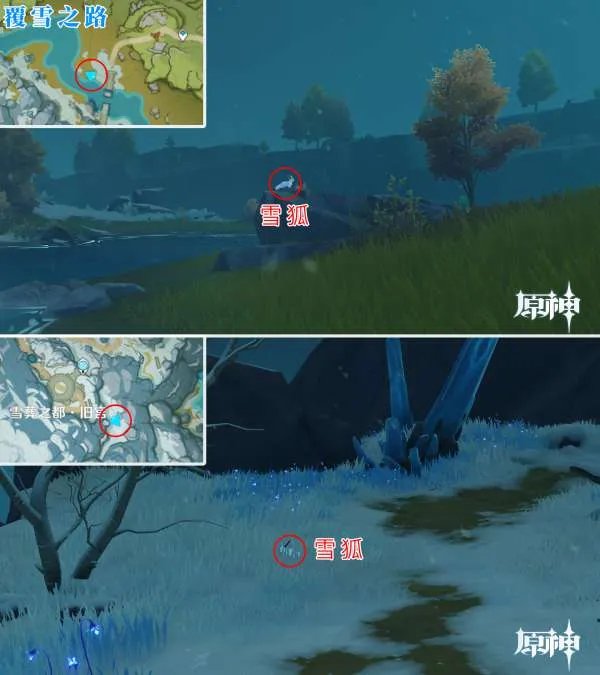 原神四方八方之网可捕捉动物在哪