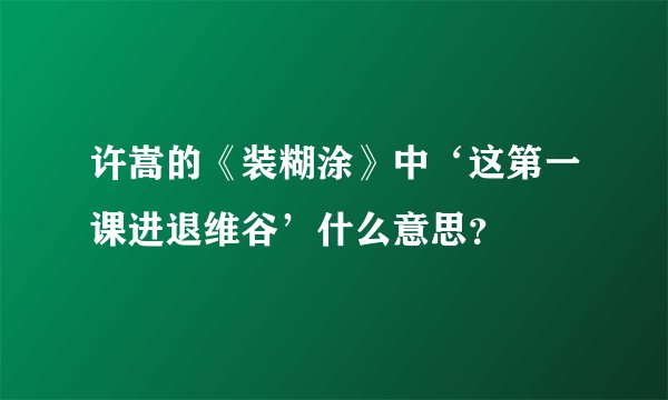 许嵩的《装糊涂》中‘这第一课进退维谷’什么意思？