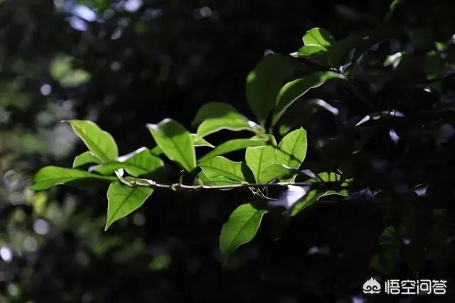 新手应该怎么学摄影？应该从哪里开始学？