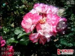 GPS折叠新贵 索尼爱立信Z780手机评测