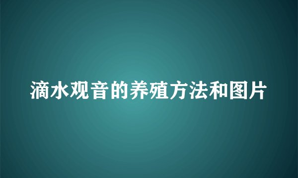 滴水观音的养殖方法和图片