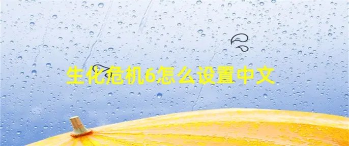 生化危机6怎么设置中文