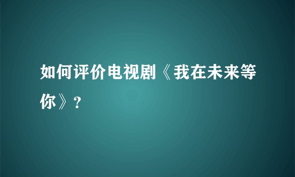 如何评价电视剧《我在未来等你》？