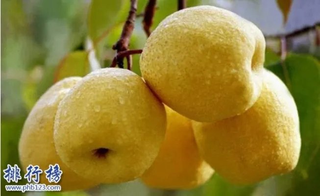 立冬吃什么水果好?立冬养生水果排行榜