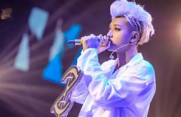 黄子韬叫林更新野王哥哥，黄子韬有多少娱乐圈的好哥哥？