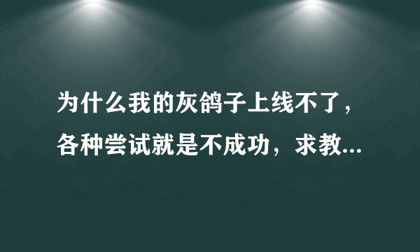 为什么我的灰鸽子上线不了，各种尝试就是不成功，求教啊求教~