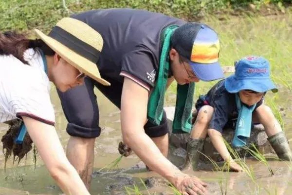 霍启刚罕见晒儿女照，豪门教育方式为何引发热议？