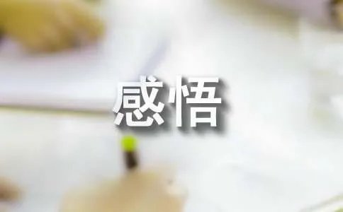 感悟人生经典语句