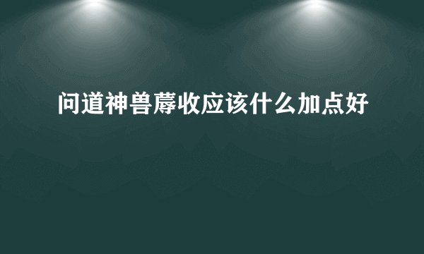 问道神兽蓐收应该什么加点好
