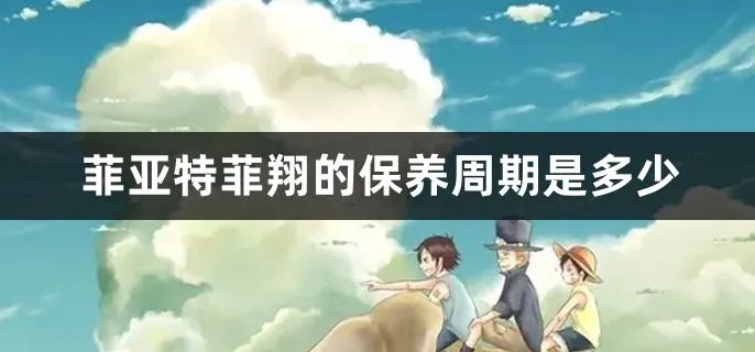 菲亚特菲翔的保养周期是多少