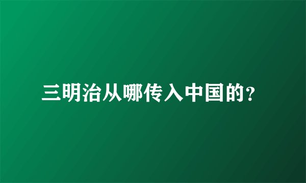 三明治从哪传入中国的？