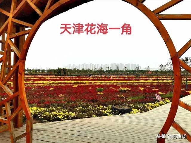 上海奉贤区东端这个镇