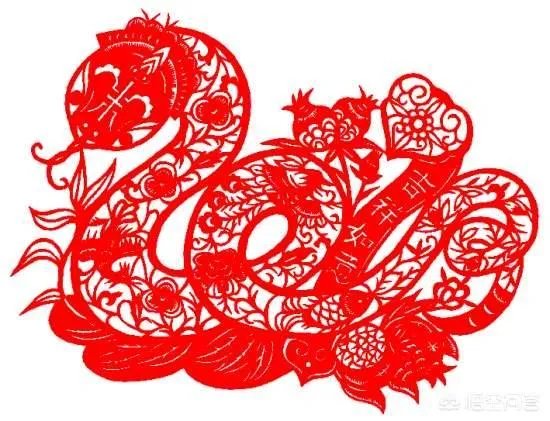 为何家里进的蛇不能打?