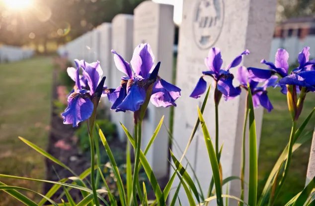 2021年11月骨灰下葬吉日 2021年11月最佳骨灰下葬黄道吉日
